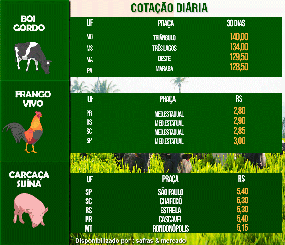 Indicadores